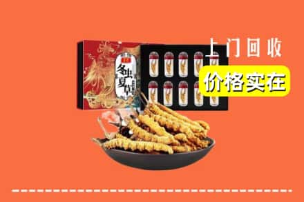 无为市回收冬虫夏草